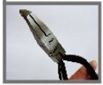 MINESHIMA TH04 Beak Edge Nipper, MNS51848, by MINESHIMA