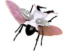 Fujimi Jiyuu Kenkyuu Series No.2203 Ultra Monster Edition Stag Beetle Dada specification, FUJ71913, by FUJIMI