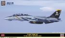 Hasegawa 1/72 SP Series (Limited Release) F-14B TOMCAT VF-103 JOLLY ROGERS 2002, HAS22541, by HASEGAWA