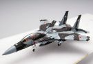 1/144 Gimix AC29 ASDF F15DJ instructor 065, TMTX243427, by TOMYTEC