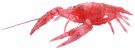 Fujimi Jiyuu Kenkyuu Series No.24 EX-4 Living Things Red Swamp Crayfish Special Design (Clear Red), FUJ71050, by FUJIMI