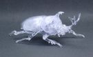 Fujimi Jiyuu Kenkyuu Series No.21 EX-1 Living Thing Rhinoceros Beetle Special Design (Clear), FUJ71043, by FUJIMI