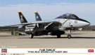 Hasegawa 1/72 F-14B Tomcat "VF-103 Jolly Rogers Last Flight 2004", HAS24342, by HASEGAWA