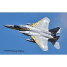 Platz 1/72 JASDF F-15J Eagle Komatsu Base Air Festival 2014 306th Squadron Golden Eagles Special Painting Machine, PLZ84757, by PLATZ