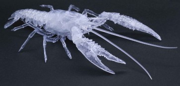Fujimi LIVING THING ARC PROCAMBARUS CLARKII (CLEAR)  , FUJ71005, by FUJIMI