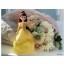 TAKARA TOMY PRECIOUS COLLECTION DISNEY PRINCESS BELLE  , TAK56529, by TAKARA TOMY