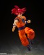 Bandai S.H.Figuarts Super Saiyan God Son Goku -The Saiyan God Brought About by a Righteous Heart-, BAC61234, by BANDAI