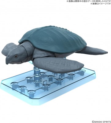 Bandai Plannosaurus Archelon, BAN42919, by BANDAI