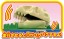 TAKARA TOMY Plarail Thomas the Tank Engine Dinosaur Bone Carrying Freight Car  , TAK80760, by TAKARA TOMY