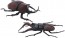 Fujimi LIVING THING ARC STAG BEETLE VS. JAPANESE RHINOCEROS BEETLE DUEL SET  , FUJ70862, by FUJIMI