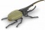 Fujimi Jiyuu Kenkyuu Series No.26 Ikimono Hen Dynastes Hercules (Hercules Beetle), FUJ71210, by FUJIMI