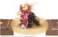 TAKARA TOMY Kabutoborg KB-10 Sawtooth Stag Beetle Customized Set, TAK12651, by TAKARA TOMY
