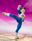 Bandai S.H.Figuarts Vegeta -DAIMA-, BAC73459, by BANDAI