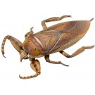 KAIYODO Revogeo Water Bug Tagame  , KYD70040, by KAIYODO