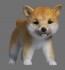 Atelier IT 1/8 Puppy Shiba resin kit figure, AIT31052, by Atelier IT