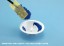 Wave White paint dish (6 pieces) ② Asamaru bottom OM 183 , WAV21837, by WAVE