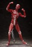 FREEing figma Human Anatomical Model, FRE10427, by FREEING