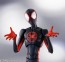 Bandai S.H.Figuarts Spider-Man (Miles Morales) (Spider-Man: Across the Spider-Verse), BAC39899, by BANDAI