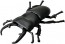 TAKARA TOMY Ania AS-41 Flatback Stag Beetle, TAK10375, by TAKARA TOMY