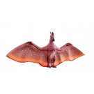 Bandai MOVIE MONSTER SERIES RODAN 2019 , BAN37577, by BANDAI