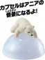 TAKARA TOMY Ania AC-10 Polar Bear (Child), TAK23726, by TAKARA TOMY