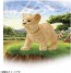 TAKARA TOMY Ania AC-01 Lion (Child), TAK06118, by TAKARA TOMY