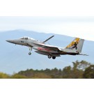 Platz 1/72 JASDF F-15J Eagle 305th Air Squadron Nyutabaru Airbase Air Festa 2022 Commemorative Paint Design, PLZ86935, by PLATZ