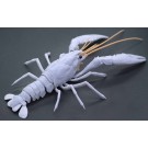 Fujimi CREATURE ARC PROCAMBARUS CLARKII (WHITE)  , FUJ70886, by FUJIMI