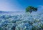 Epoch Jigsaw Puzzle 1053 super small pcs Hill of Nemophila Ibaraki , EPC10036, by Epoch