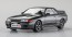 Hasegawa 1/24 NISSAN SKYLINE GT-R (BNR32) Nismo Intercooler (Tentative Name), HAS06113, by HASEGAWA