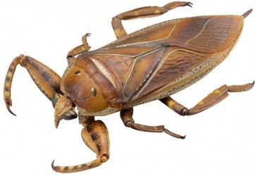 KAIYODO Revogeo Water Bug Tagame  , KYD70040, by KAIYODO