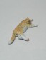 Hanashi no Mokei 1/20 Kitties set 01  resin kit figure Japan, HAN002, by Hanashi no Mokei