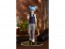 Good Smile Company POP UP PARADE Nagisa Shiota (Assassination Classroom), GSC47596, by GOOD SMILE COMPANY