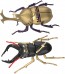 Fujimi Jiyuu Kenkyuu Series No.255 Warlord Edition Rhinoceros Beetle Ieyasu Tokugawa/Stag Beetle Tadakatsu Honda Specifications, FUJ71654, by FUJIMI
