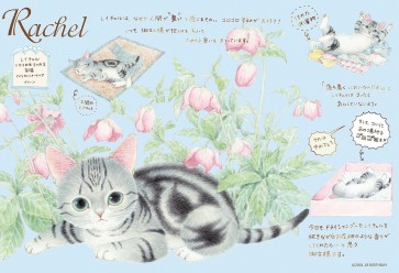 Epoch Jigsaw Puzzle 300pcs Nekomachi Nago Rachel , EPC62786, by Epoch