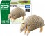 TAKARA TOMY Ania AS-45 Armadillo (Mitsuobi Armadillo), TAK05608, by TAKARA TOMY