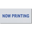 Hasegawa 1/24 Focus RS WRC 03 2003 Shakedown, HAS08216, by HASEGAWA