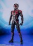Bandai S.H.Figuarts Ant-Man (Ant-Man and the Wasp: Quantumania), BAC50740, by BANDAI