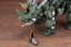 Kotobukiya 1/72 ZOIDS Green Horn AB, KBY43446, by KOTOBUKIYA