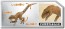 TAKARA TOMY Ania Jurassic World Shundee Hunter Dinosaur Set, TAK94491, by TAKARA TOMY