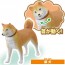 TAKARA TOMY Ania Dog and Cat Lively Set, TAK55986, by TAKARA TOMY