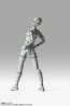 Bandai S.H.Figuarts Body-chan -Sports- Edition -Wireframe- (Gray Color Ver.), BAC73084, by BANDAI