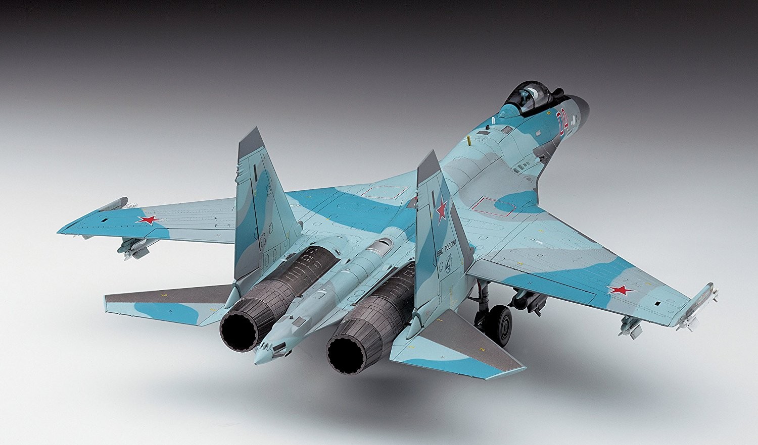 Hasegawa su 35