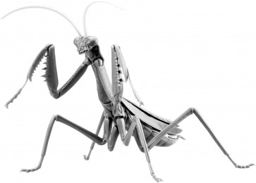 Fujimi Jiyuu Kenkyuu Series No.23 EX-4 IKIMONO HEN OKAMAKIRI SPECIAL SPECIFICATION (METALLIC SILVER), FUJ71159, by FUJIMI