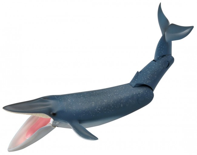 blue whale figure