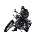Aoshima 1/12 Crows x Worst Buso Sensen Ryushin Kuno (PVC Figure) & Night Train (Injection Kit)  , AOS97861, by AOSHIMA
