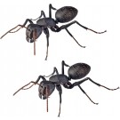 KAIYODO REVO GEO Camponotus japonicus (Black Carpenter Ant) (set of 2), KYD70095, by KAIYODO