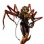 TAKARA TOMY Transformers Masterpiece MP-46 Blackarachnia (Beast Wars)  , TAK14968, by TAKARA TOMY