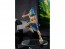 Good Smile Company POP UP PARADE Sunraku (Shangri-La Frontier), GSC02030, by GOOD SMILE COMPANY