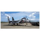 Platz 1/72 JASDF F-15J EAGLE 303RD TACTICAL FIGHTER SQUADRON 2018 KOMATSU BASE AIR FESTIVAL ANNIVERSARY PAINTING FIGHTING DRAGON  t, PLZ53517, by PLATZ